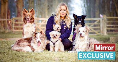 Britain's Got Talent star on training dogs for Bridgerton, TV fame and golden advice