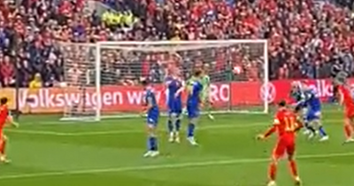 The angle that proves Gareth Bale should have been awarded the goal that sent Wales to the World Cup