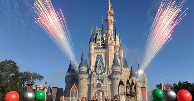 TUI slashes Walt Disney World holiday prices from Manchester by up to 46% for last-minute breaks