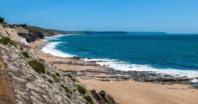 Enormous creature with 'human-like-head' discovered washed up on UK beach