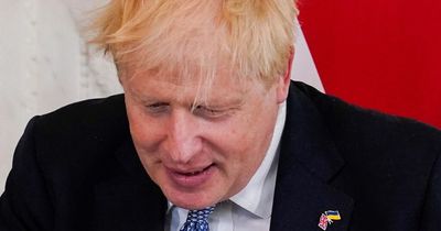 What Boris Johnson told his MPs as he fights to save his job