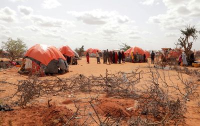 Famine risk rises in Somalia as rains fail, food prices soar - U.N