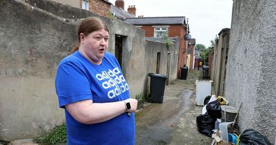 Belfast residents disgusted after more than 30 rats found in alleyway in a month