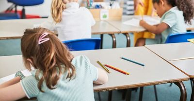 Dublin has highest number of Ukrainian children enrolled in Irish schools