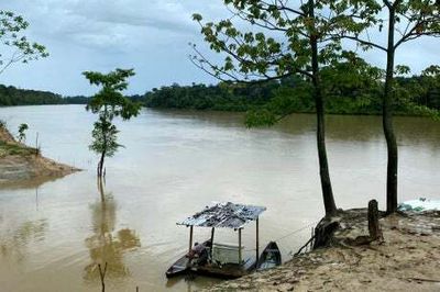 Fears grow as British journalist goes missing in Brazilian Amazon