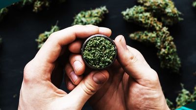 New Jersey Cannabis Market Starts Up, Well, Smokin'