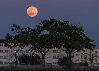 Strawberry Moon: You need to see June's bright full supermoon this month