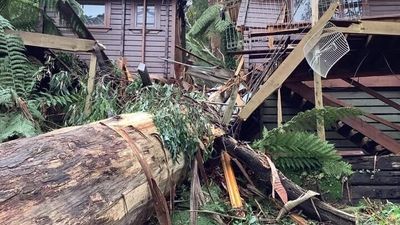 Dandenong Ranges residents navigate insurance, building hurdles in storm recovery