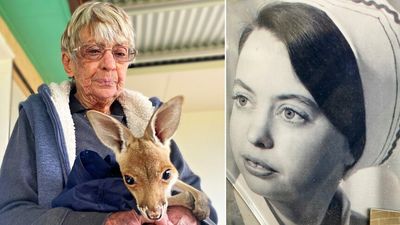 Nurse-turned-wildlife carer Val Spilsbury discusses life as a matron in 1970s rural Australia