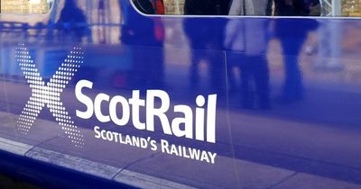 Glasgow rail services disrupted after bull wanders onto train line