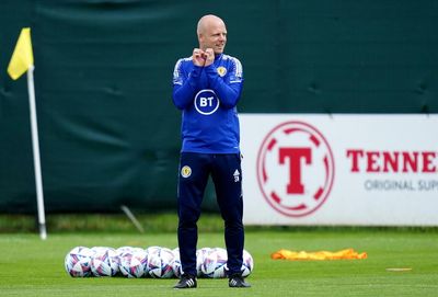 Steven Naismith says Scotland are as good as Wales and can emulate their success