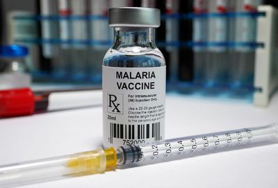 Why the malaria vaccine took 35 years