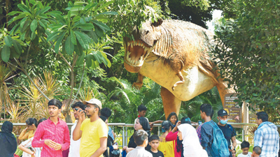 ‘Tigers swimming under water a hit with Mumbai's Byculla zoo visitors’
