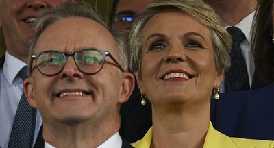 Albo’s new politics faces old challenges, as Plibersek demotion shows