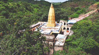 Maharashtra: 2 Marathwada sanctuaries get critical wildlife habitats tag