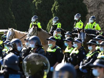Protester admits hitting cops and horse