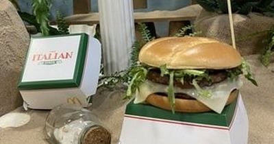 'I tried McDonald's summer menu and was blown away by the lasagne burger and halloumi fries'