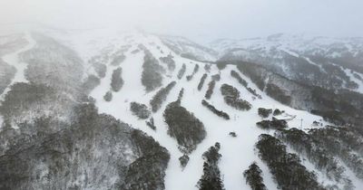 Snow just keeps falling as NSW resorts gear up for bumper season opening