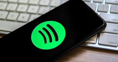 What is a Spotify Pie Chart and how can I make my own?