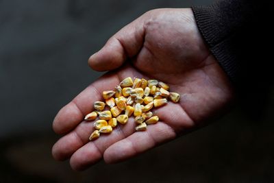 Turkey says working to agree Ukraine grain export plan