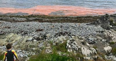 Irish sea swimmers cancel sessions as dangerous 'Red Tide' water seen along Cork coast