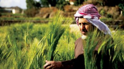 Saudi Arabia Asks Private Sector to Issue Modern Agricultural Registry to Combat Commercial Cover-up