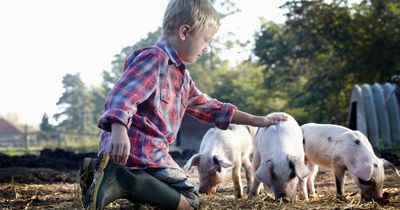 Six Dublin farms that make perfect family days out this summer