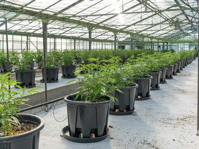 Columbia Care Operationalizes Second Cannabis Facility In New Jersey