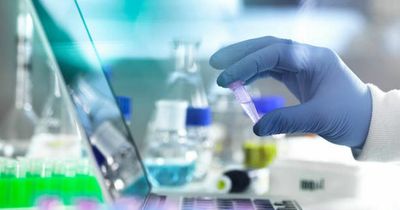 Experimental cancer drug 'cures' every patient in trial in 'really exciting' development