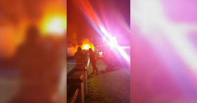 Fire service investigating cause of shed blaze as vintage cars burnt out in Co Tyrone