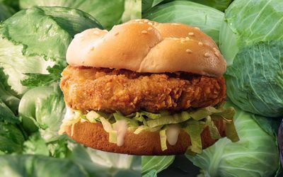 Extreme weather blamed as KFC substitutes cabbage for lettuce and prices soar