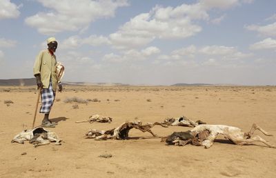 'Widen gaze from Ukraine' to avert famine in Somalia, U.N. agency warns