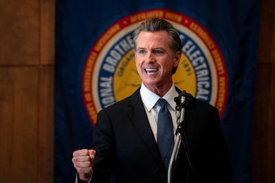 Democrat Gavin Newsom to face Republican Brian Dahle in California race for governor