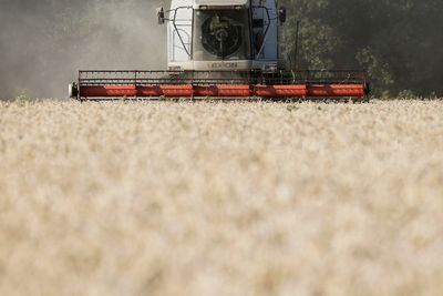 Allegations Russia is stealing Ukrainian grain must be investigated - UK