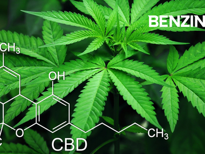 BellRock Brands CFO Resigns, Interim CFO Appointed, Cannabis Company Still Under Cease Trade Order