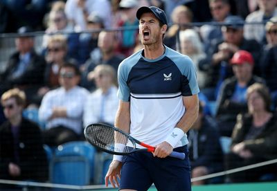 Andy Murray eases through first round in Stuttgart