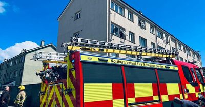 Bin set on fire 'deliberately' outside North Down flats