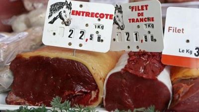 Pony to plate: Horsemeat trafficking 'gang' on trial in France