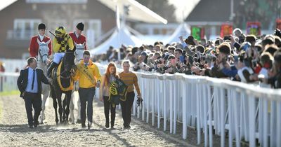 Willie Mullins hails retiring Al Boum Photo who finally gave top trainer Gold Cup win