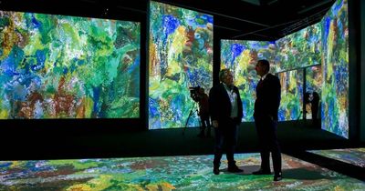 Songs, stories and colour connect in immersive new show in Canberra