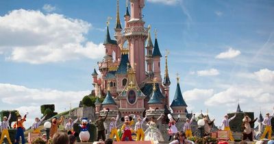 Internet brands Disney staff member 'evil' after magical proposal is stopped in its tracks