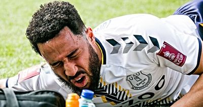 'Long time' - Andros Townsend's father gives injury update on Everton winger