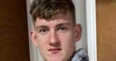 Gardai appeal for help in tracing Dublin teenager missing since Friday