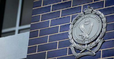 Man accused of almost $50k worth of government grant fraud