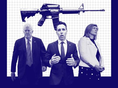 ‘Shoot cans and stuff’: GOP senators with gun control in their hands reveal whether they own or have shot an AR-15
