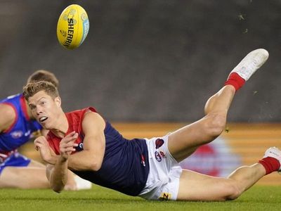 Gawn embarrassed by Dees teammates' fight