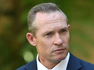 Qld energy minister rejects nuclear power