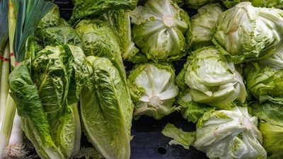 Why is there a lettuce shortage? Australians warned prices won't come down any time soon