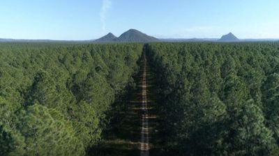 Human remains on Glasshouse Mountains 4WD trail may have been burnt, police say