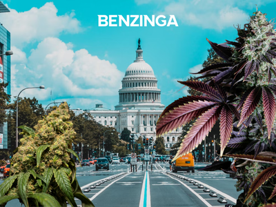 Washington D.C. Council Passes Law Prohibiting Companies From Firing Workers For Cannabis Use